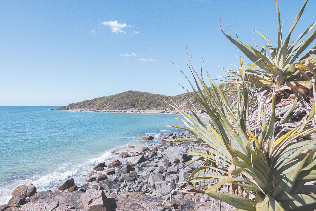 Landscape photography print - Noosa National Park - Josh Whiting Photos