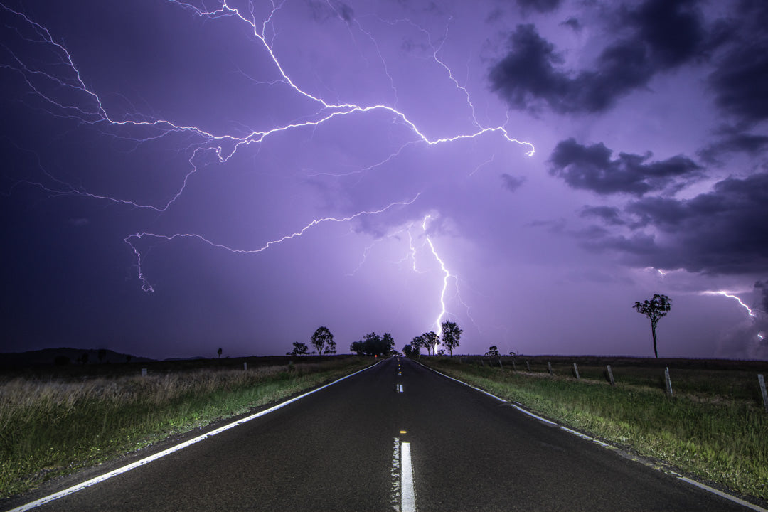 Sever weather images - Scenic Rim Photography - Wet Cactus